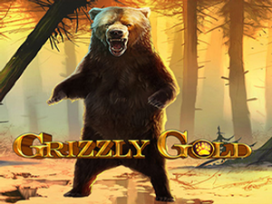 BPG-grizzlygold