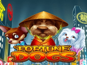 HAB-fortunedogs