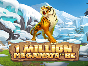 IDS-onemillionmegawaysbc