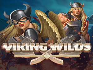 IDS-vikingwilds