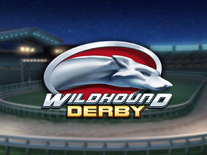PNG-wildhoundderby