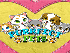 RTG-purrfectpets