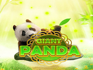 SHS-giantpanda